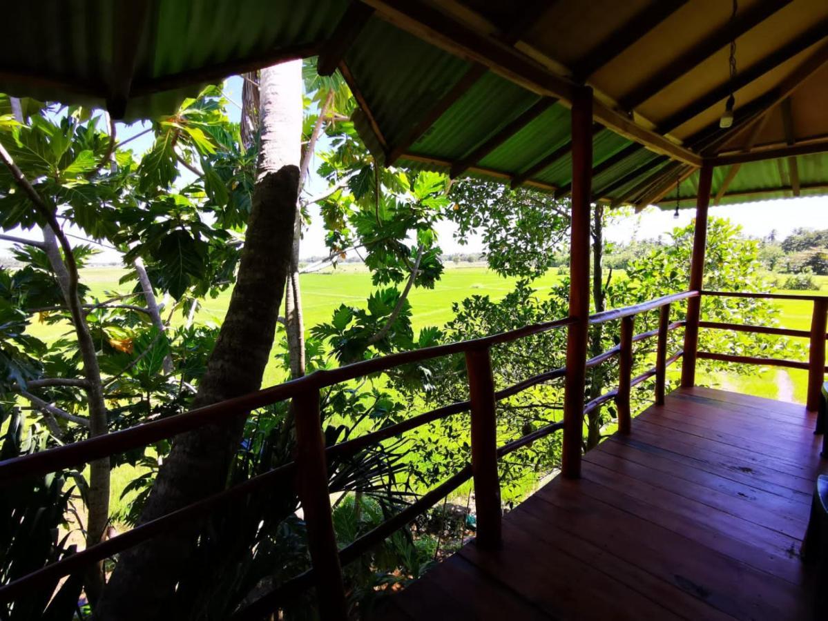 Lake Side View Cabana Tissamaharama Kültér fotó
